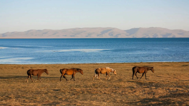 7-Day Tour Kazakhstan and Kyrgyzstan